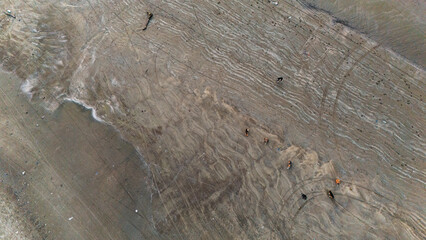 Top aerial shot of Miramar Beach in Goa showing sand textures and dogs sitting on the beach.
