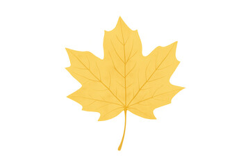 Fototapeta premium Yellow maple leaf on a transparent background, representing the fall season with its vibrant colors