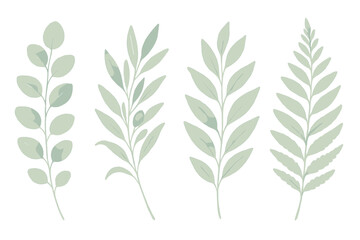 Delicate watercolor sprigs of eucalyptus and fern leaves in soft green hues