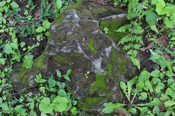 Large stone covered with moss on the ground background. Green grasses growing around the stone in...