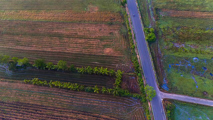 Top-down aerial view of Sangolda fields in Goa with a road dividing green farmland, showcasing rural landscape, agriculture, and natural patterns from above.