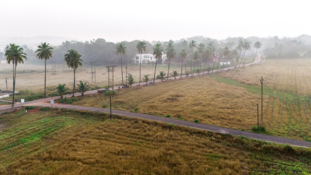 Aerial shot of Parra Road in Goa with coconut trees on both sides, agricultural fields, misty winter morning with mountain and sky in background, scenic landscape view.