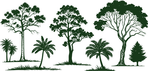 Hand-drawn green tropical and forest trees collection illustration. Palm trees and deciduous forest silhouettes in engraving style for projects and graphic design. Perfect for nature, environment,