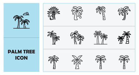 Palm tree icon. This icon representing nature, tropical island, beach, summer vacation, or holiday theme.