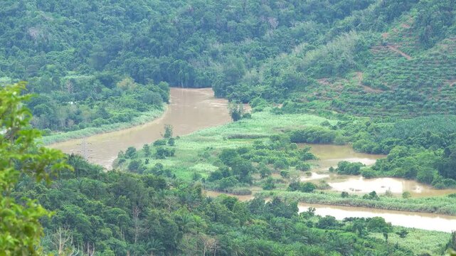 Tropical mountain forest with river in the northwest of Borneo Island, fluvial plain, tropical farming, tea and vegetable plantations in the valley. Malaysia