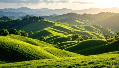 Rolling green hills bathed in golden light create a serene Tuscan landscape reminiscent of the