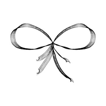 PNG ribbon bow isolated on white, bow knot vector, black bow on white background