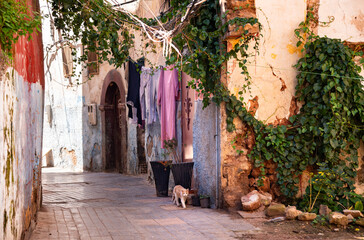 Casablanca poor quarter, Morocco slums