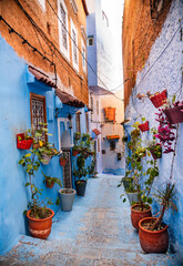 Beautiful street with flowers in Chefchaouen, Morocco, the Blue city