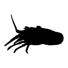 silhouette of a lobster