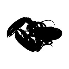 silhouette of a lobster