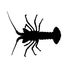 silhouette of a lobster
