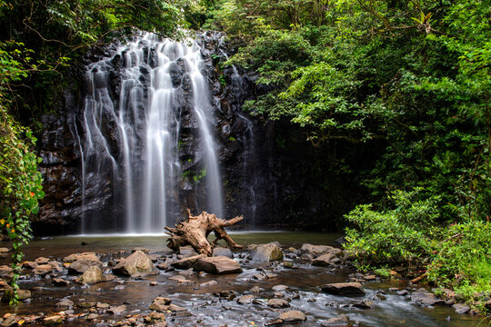 Water cascades over the dark rock face at Ellinjaa Falls.