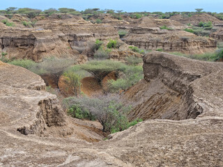 Landscape of Omo national park in Ethiopia