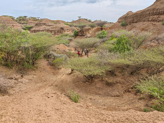 Landscape of Omo national park in Ethiopia