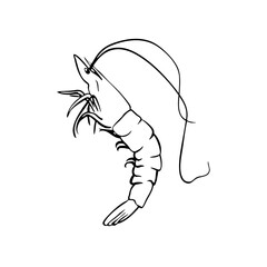 Prawn Line Illustration Transparent mediterranean summer seafood shellfish prawn svg hand drawn sketch food asset marine dinner restaurant vector vintage ocean doodle whimsical sea summer market