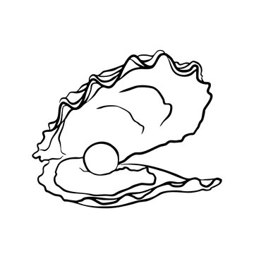 Oyster with Pearl Line Illustration Transparent mediterranean summer seafood shell open svg hand drawn sketch food asset marine dinner restaurant vector vintage ocean doodle whimsical summer luxury
