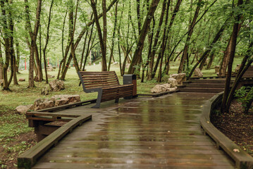 A winding wooden walkway leads through a dense forest, inviting visitors to explore the natural beauty of the surroundings. Chinese Huamin Park, Moscow