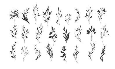 Set of sophisticated branch in silhouette or linocut drawing style. Luxury floral collection for wedding invitation, wallpaper art or save the date card