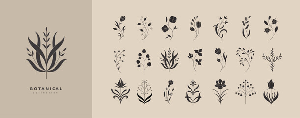Set of simple geometric branch and flowers. Botanic silhouette, wavy and boho elements. Leaves and branches print for logo, or packaging