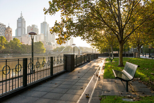 Sunlight filtering through trees along quiet riverside walkway in central Melbourne.