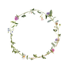 watercolor drawing round wreath with wild flowers, plants at white background, hand drawn botanical illustration