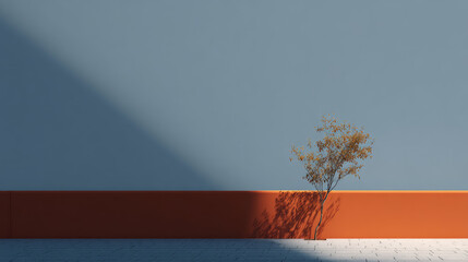 Minimalist composition with dried plant in glass vase on orange surface, geometric shadows on blue wall, abstract still life with natural light, contemporary home decor styling
