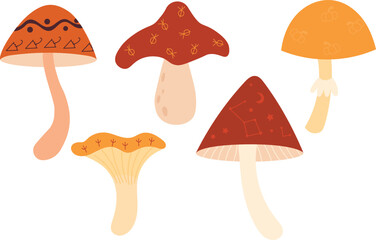 Mushroom set, cute hand drawn seasonal items. Vector illustration in flat style