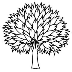 Obraz premium Fringe Tree line art vector