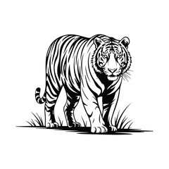 Majestic Tiger Strolling A Bold Black and White Graphic Illustration Design