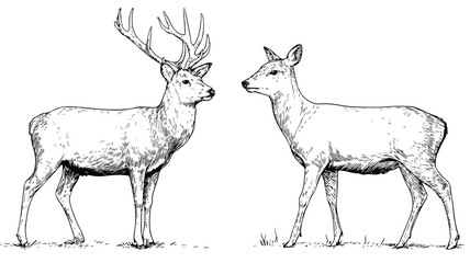 Naklejka premium Minimalistic Deer Line Art Illustration for Graphic Design Projects