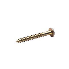 Closeup of a Brass Machine Screw Detailed View of a Single SelfTapping Screw on transparent background