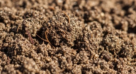 Close-up of rich soil ground texture in a pile earth surface