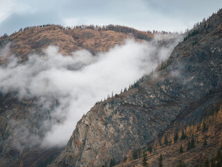 Mountains Partially Covered in Clouds. Amazing foggy mountain landscape with autumnal forest. Fog over evergreen coniferous and orange deciduous forest in autumn mountain landscape on Altai, Russia