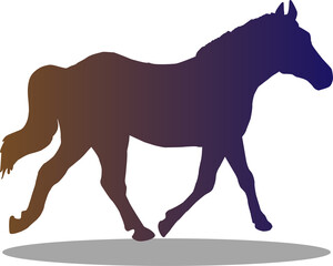 silhouette of a horse