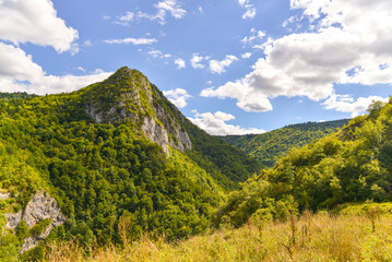 mountain landscape in the summer