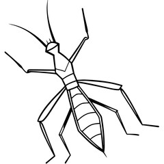 Stick insect line art vector