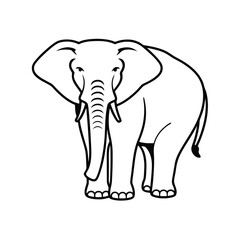 Fototapeta premium elephant isolated on white
