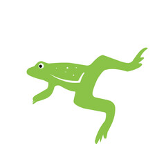 frog green vector