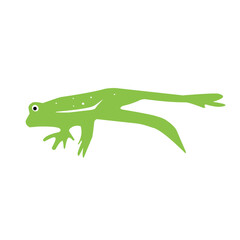 frog green vector