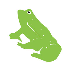 frog green vector