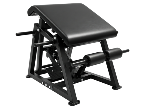 Black preacher curl bench for arm workouts at the gym on a transparent background