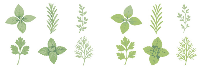 Obraz premium Botanical collection of fresh green culinary herbs and aromatic plants including basil, rosemary, parsley, mint, and oregano