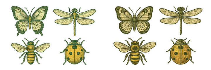 Beautiful assortment of vintage engraved insects featuring butterflies, dragonflies, bees, and ladybugs on a white background © icon_art