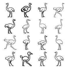 Ostrich Silhouette and Line Art Vector Icon Set