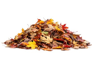Obraz premium Colorful autumn leaves pile