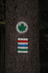 Oznaczenie szlaku turystycznego na drzewie w lesie