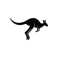 Small Hopping Kangaroo Minimal Vector