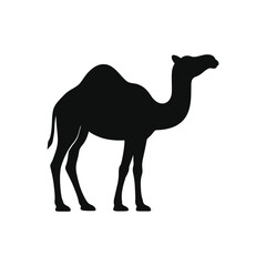 Standing Dromedary Camel Silhouette Clean Minimal Vector