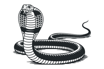 Fototapeta premium Black Cobra Snake for Design. Vector hand drawn illustration